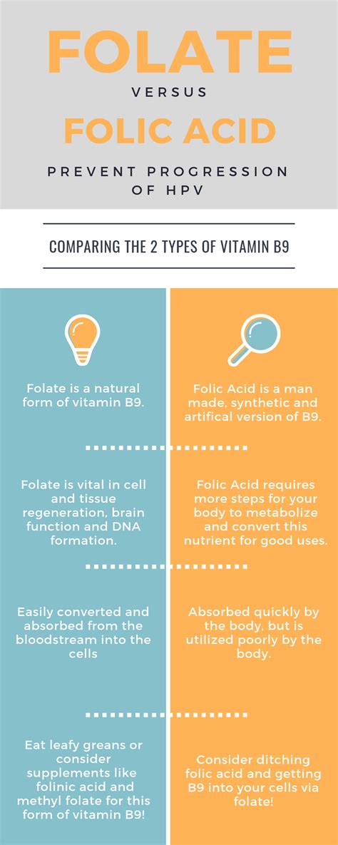 Acid folic eritrocitar